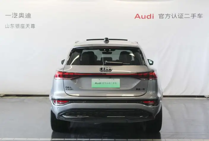 AUDI Q6L e-tron 2026 Model First Edition Pilot Edition – фото 3