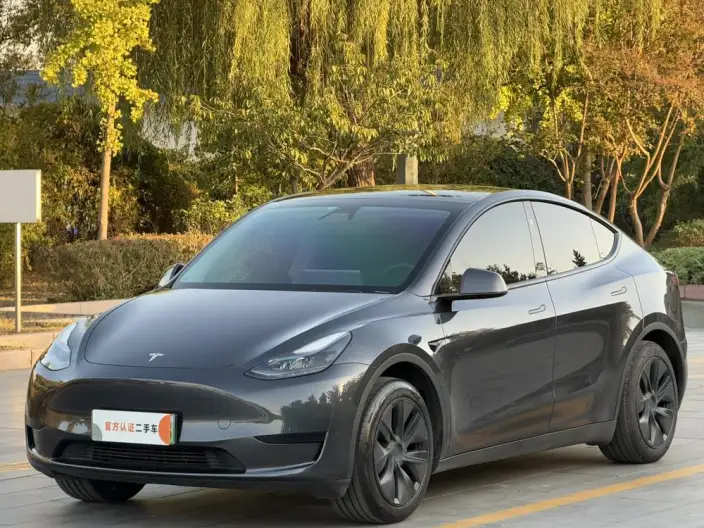 Model Y 2024 Model Rear-wheel drive version – фото 1