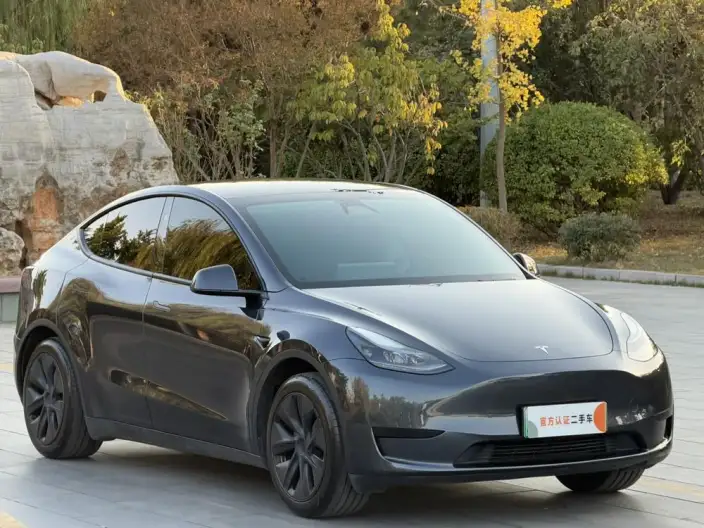 Model Y 2024 Model Rear-wheel drive version – фото 3