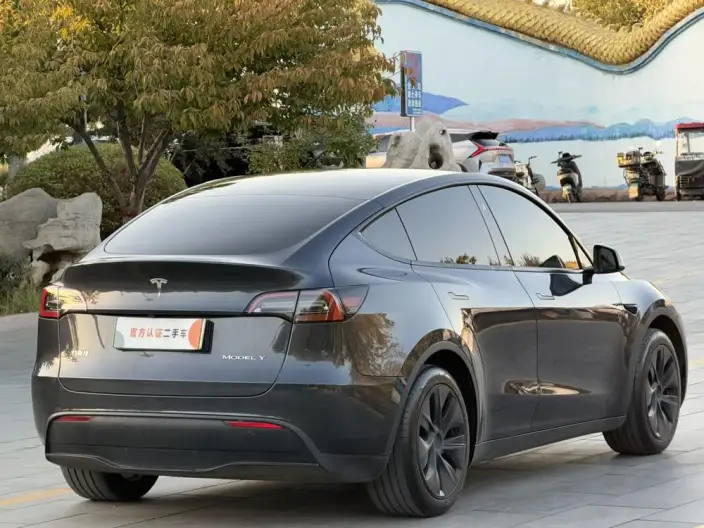 Model Y 2024 Model Rear-wheel drive version – фото 7