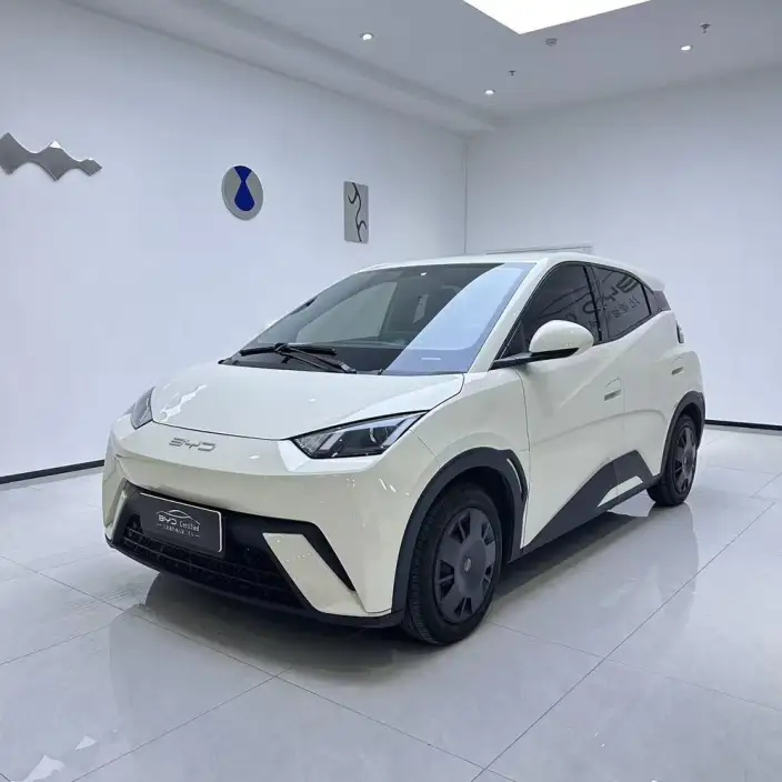 BYD Seagull 2024 Model Honor Edition 305KM Vitality Edition – фото 1