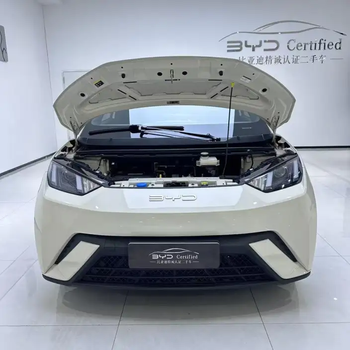 BYD Seagull 2024 Model Honor Edition 305KM Vitality Edition – фото 2