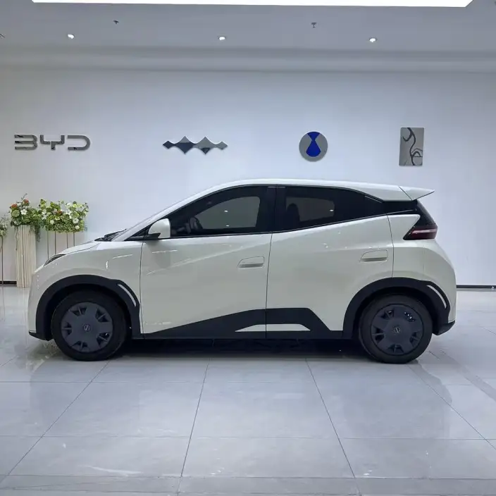 BYD Seagull 2024 Model Honor Edition 305KM Vitality Edition – фото 3