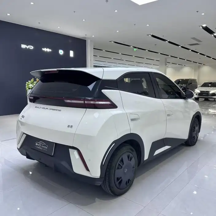 BYD Seagull 2024 Model Honor Edition 305KM Vitality Edition – фото 5