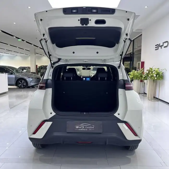 BYD Seagull 2024 Model Honor Edition 305KM Vitality Edition – фото 7