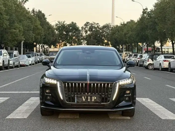 Hongqi H5 2023 Model 2.0T Automatic Flag Lead Edition – фото 2