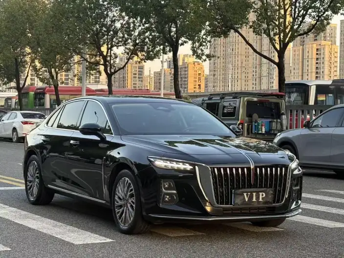 Hongqi H5 2023 Model 2.0T Automatic Flag Lead Edition – фото 3