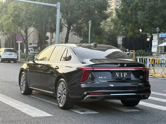 Hongqi H5 2023 Model 2.0T Automatic Flag Lead Edition – фото 5
