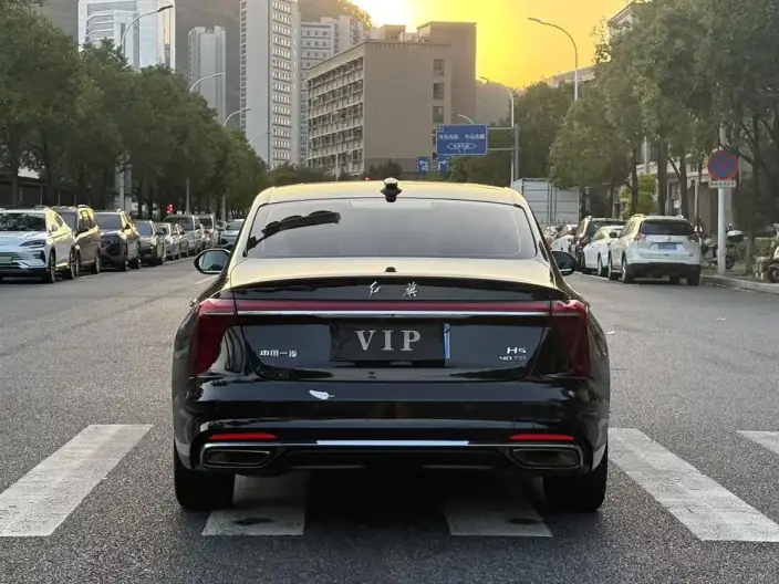Hongqi H5 2023 Model 2.0T Automatic Flag Lead Edition – фото 6