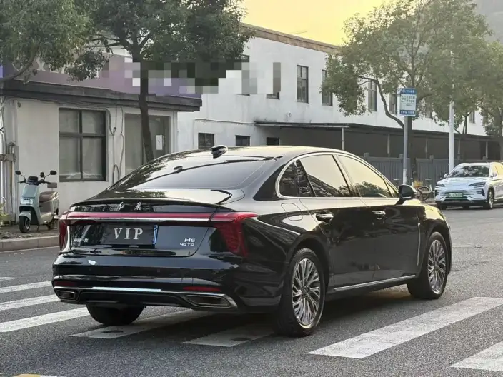 Hongqi H5 2023 Model 2.0T Automatic Flag Lead Edition – фото 7