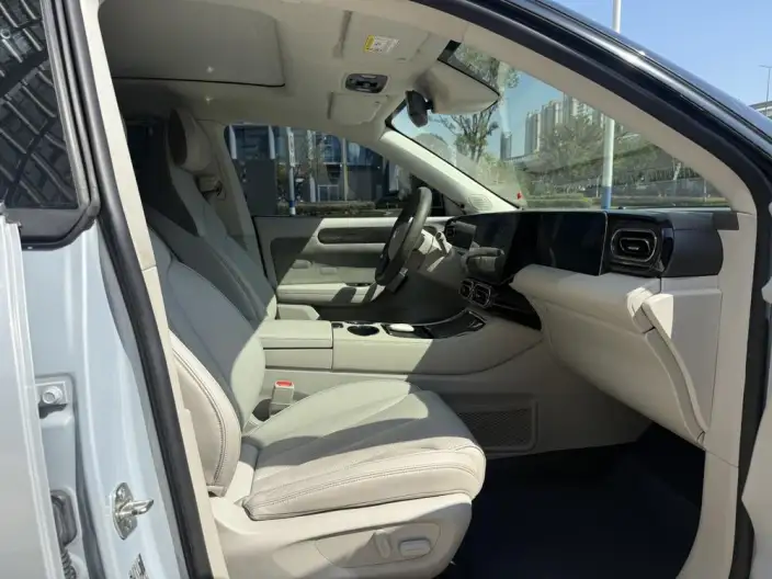 Leapmotor C11 2021 Model Performance version – фото 9