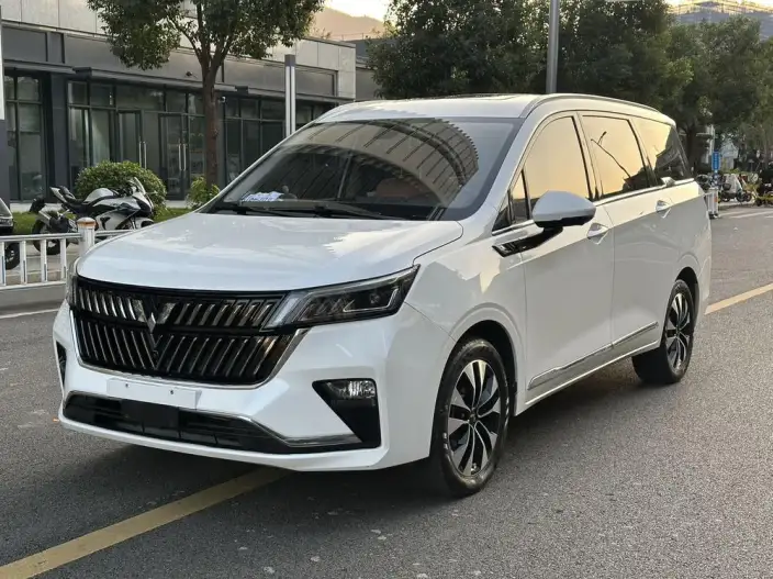 WULING Jiachen 2023 Model 2.0L DHT Flagship Model