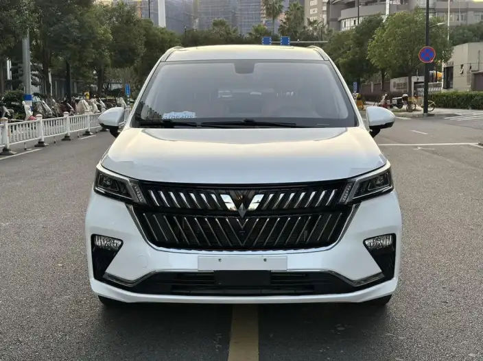 WULING Jiachen 2023 Model 2.0L DHT Flagship Model