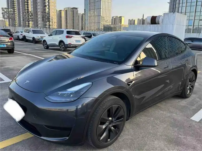 Model Y 2024 Model Rear-wheel drive version – фото 1