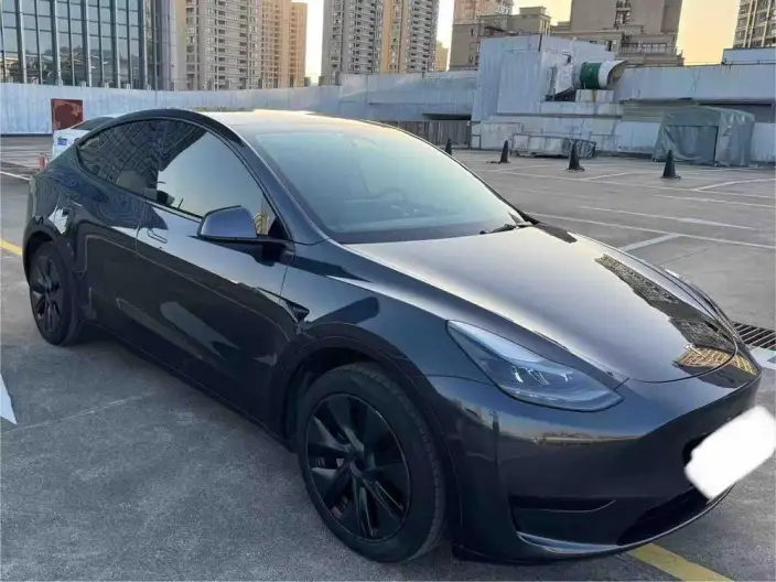 Model Y 2024 Model Rear-wheel drive version – фото 3