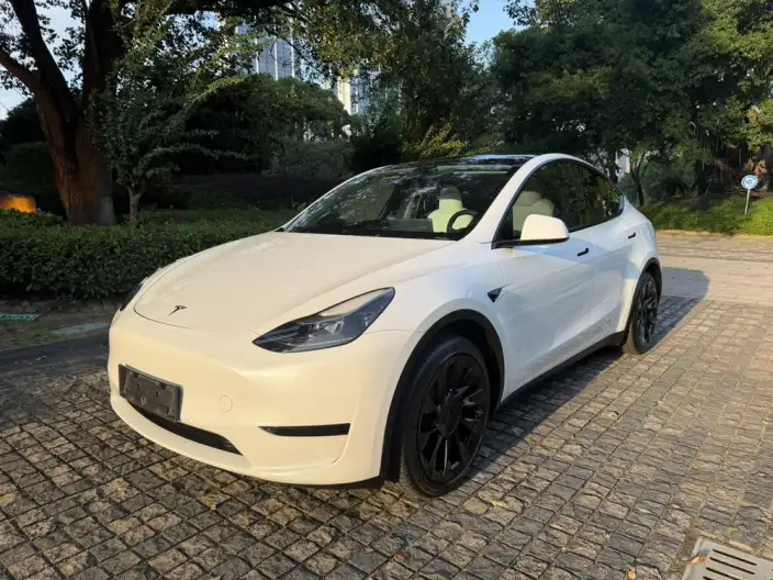 Model Y 2023 Model Rear-wheel drive version – фото 1