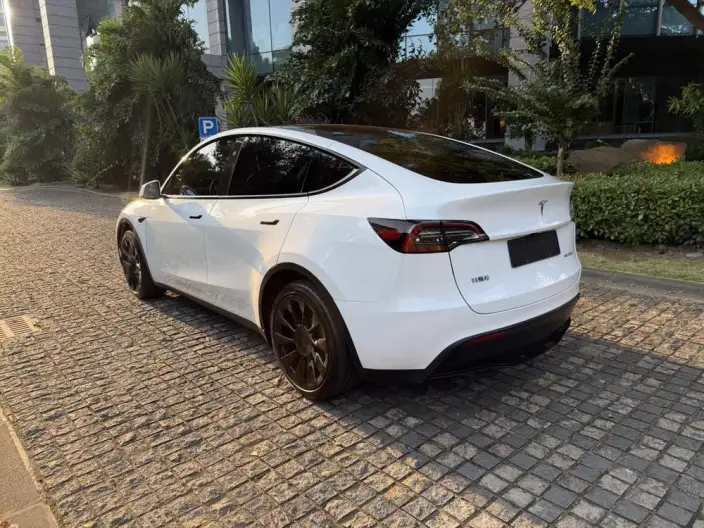 Model Y 2023 Model Rear-wheel drive version – фото 4