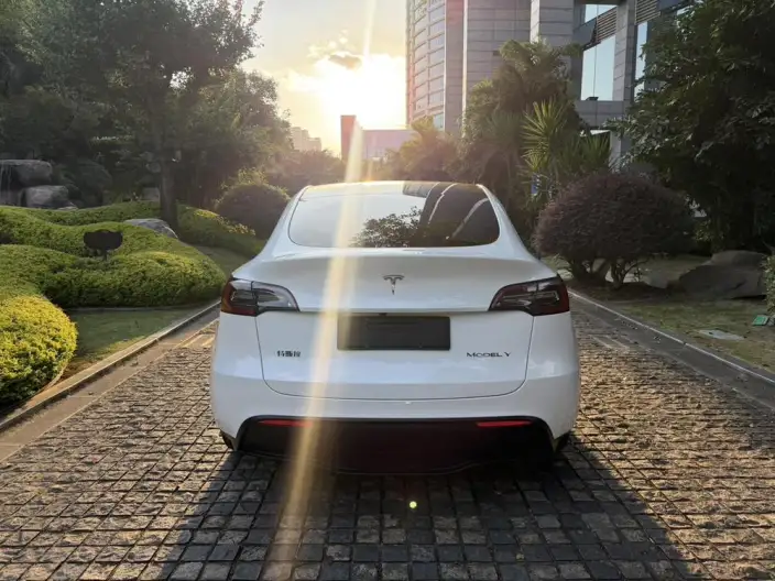 Model Y 2023 Model Rear-wheel drive version – фото 5