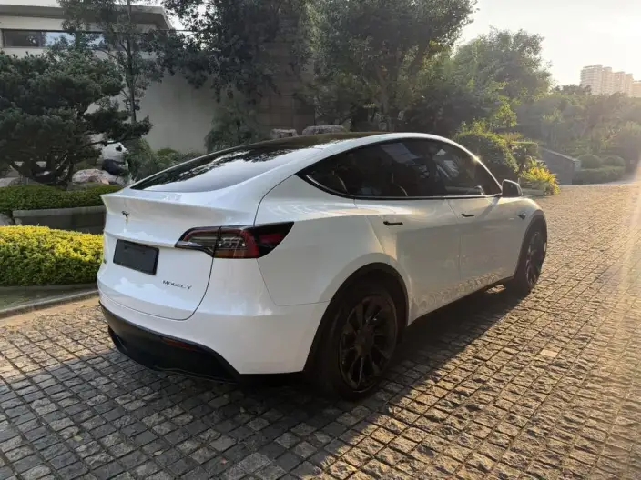 Model Y 2023 Model Rear-wheel drive version – фото 6