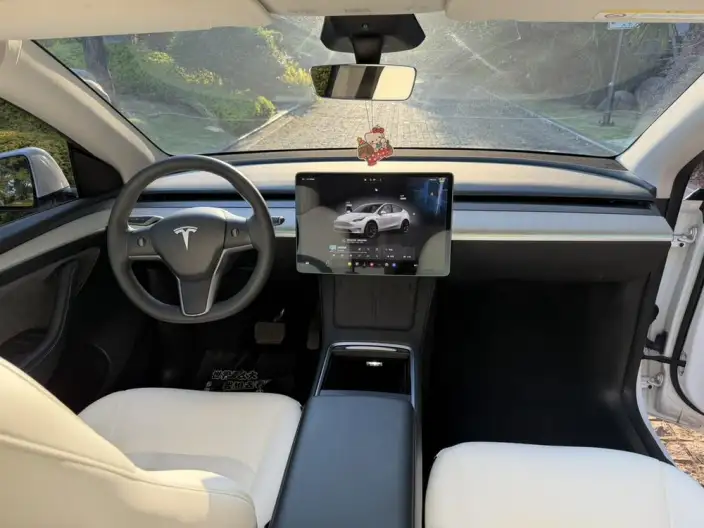 Model Y 2023 Model Rear-wheel drive version – фото 8