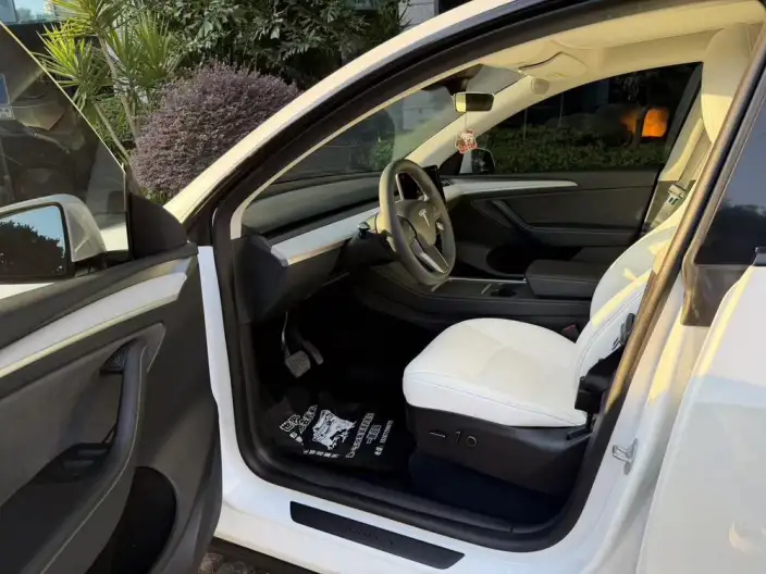 Model Y 2023 Model Rear-wheel drive version – фото 9