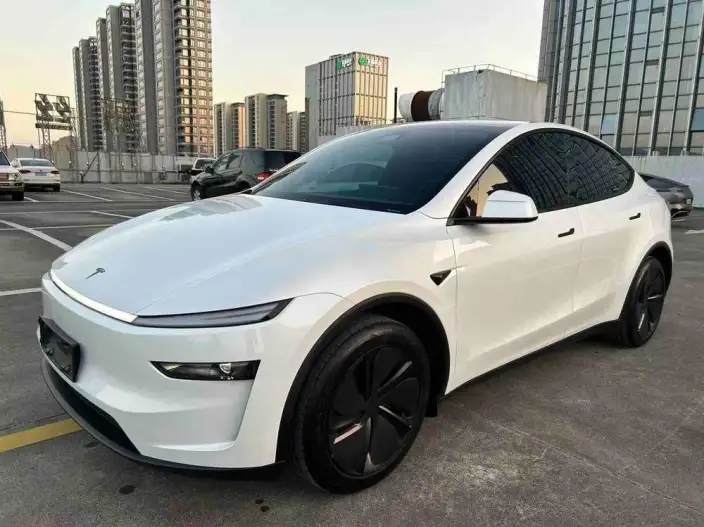 Model Y 2026 Model Rear-wheel drive version – фото 1