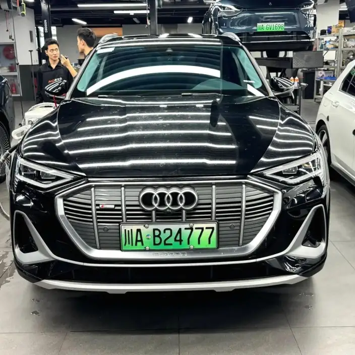 AUDI e-tron Imported 2019 Model 55 quattro Tech Model – фото 2