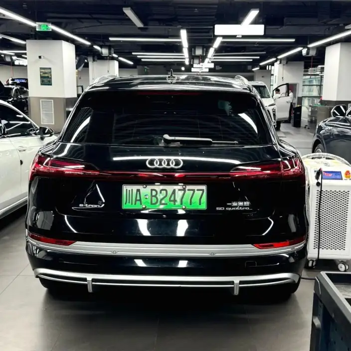 AUDI e-tron Imported 2019 Model 55 quattro Tech Model – фото 4