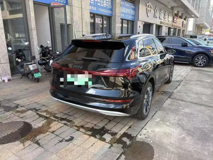 AUDI e-tron Imported 2019 Model 55 quattro Tech Model – фото 5