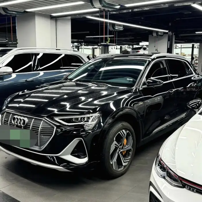 AUDI e-tron Imported 2019 Model 55 quattro Tech Model – фото 6
