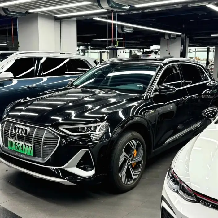 AUDI e-tron Imported 2019 Model 55 quattro Tech Model – фото 7