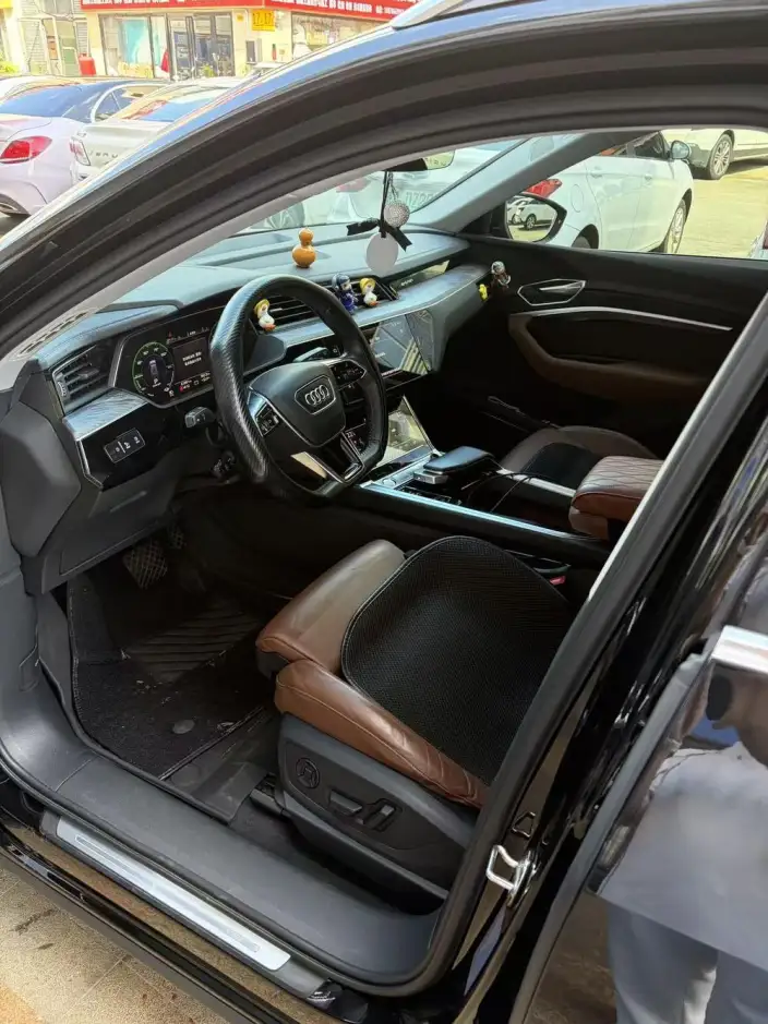 AUDI e-tron Imported 2019 Model 55 quattro Tech Model – фото 8