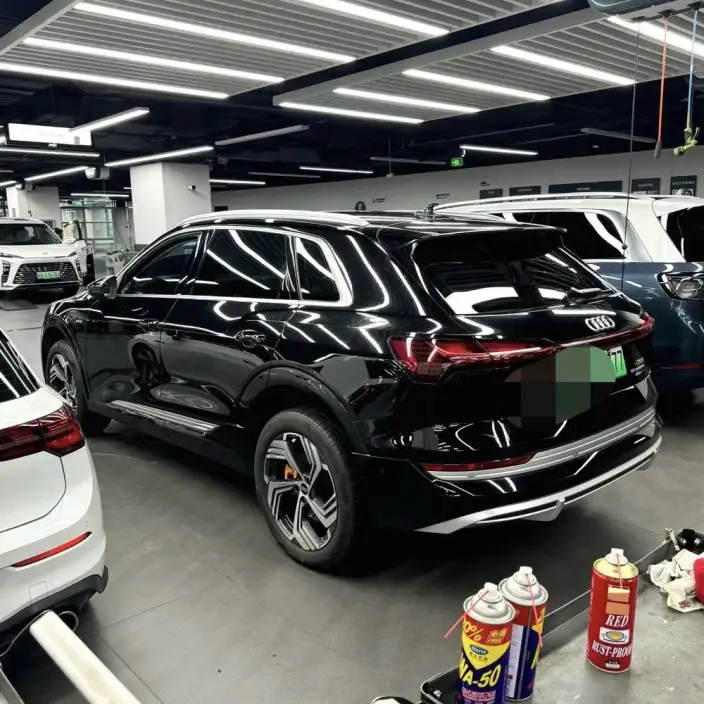 AUDI e-tron Imported 2019 Model 55 quattro Tech Model – фото 9
