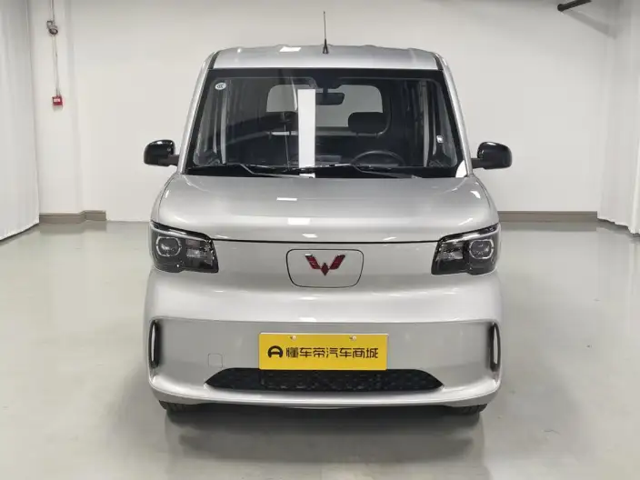 WULING Sunshine EV 2025 Model Standard Model