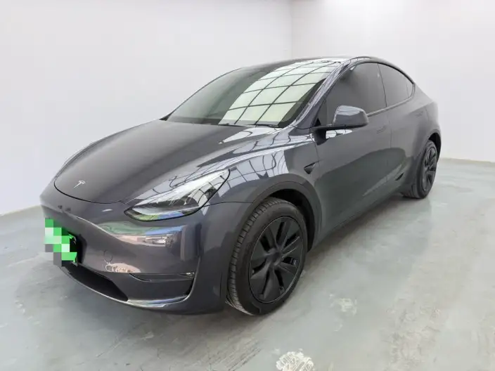 Model Y 2024 Model Long Battery Life Pro All-wheel drive version – фото 1