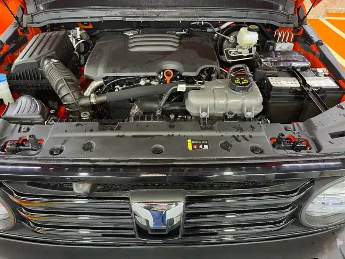 Tank 300 2025 Model 2.0T Gasoline Edition Challenger – фото 5