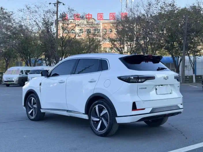 CHANGAN QIYUAN Q05 Classic 2024 Model 60 Pro