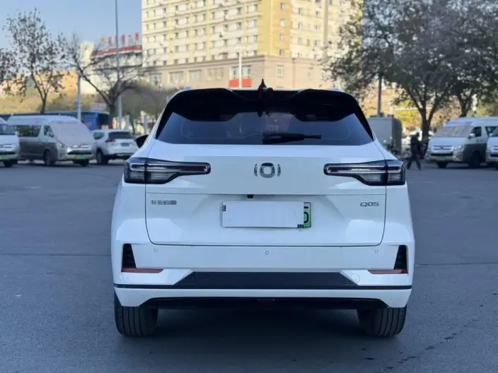 CHANGAN QIYUAN Q05 Classic 2024 Model 60 Pro – фото 5