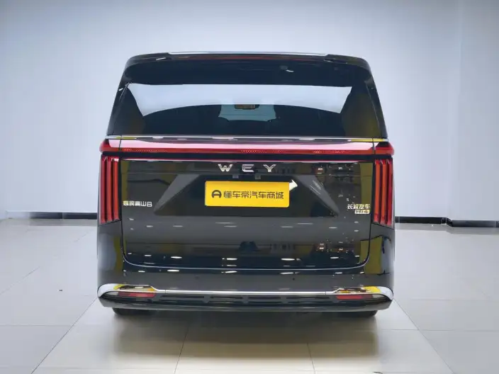 Wey Gaoshan P HEV 2025 Model 4WD Wey Gaoshan 8 – фото 6