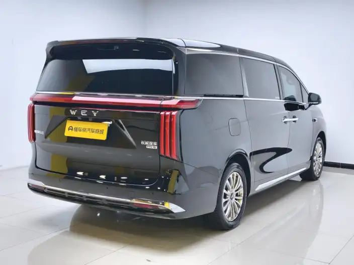 Wey Gaoshan P HEV 2025 Model 4WD Wey Gaoshan 8 – фото 7