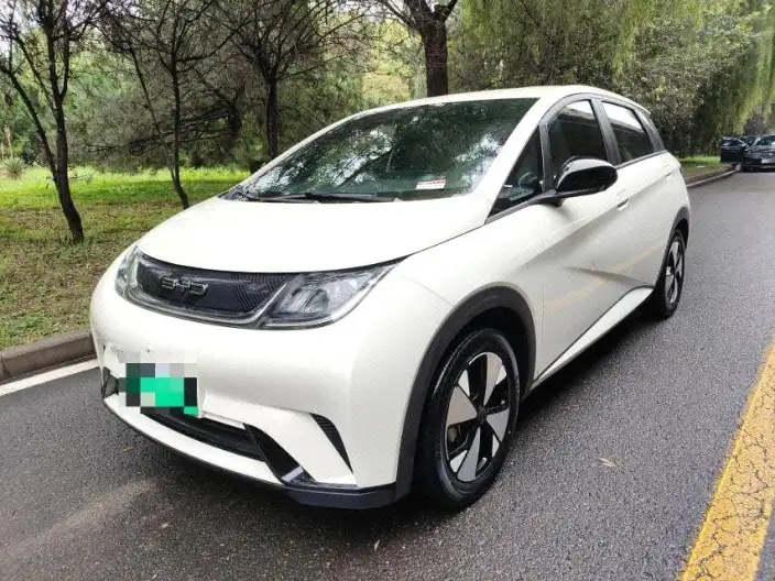 BYD Dolphin 2023 Model Free Edition – фото 1