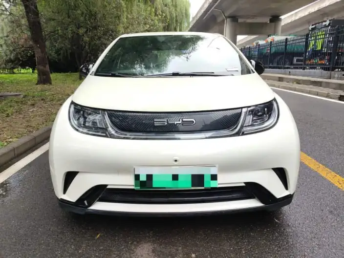 BYD Dolphin 2023 Model Free Edition – фото 2