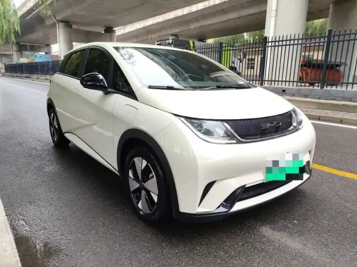 BYD Dolphin 2023 Model Free Edition – фото 3