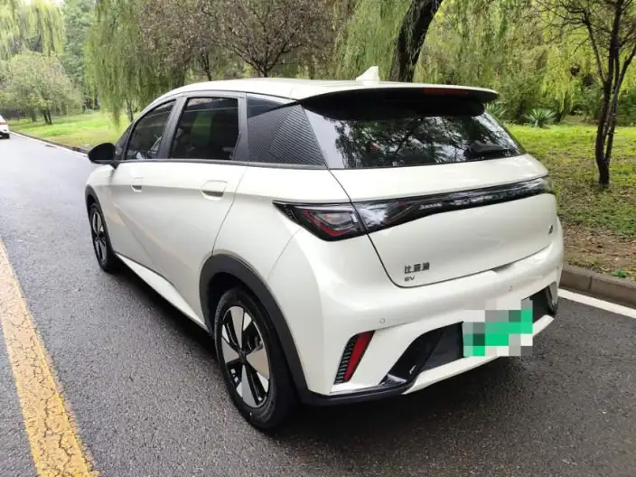 BYD Dolphin 2023 Model Free Edition – фото 4