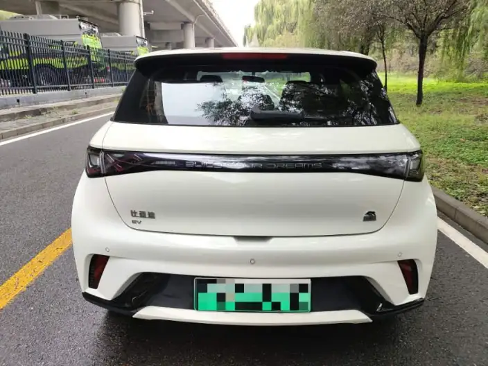 BYD Dolphin 2023 Model Free Edition – фото 5