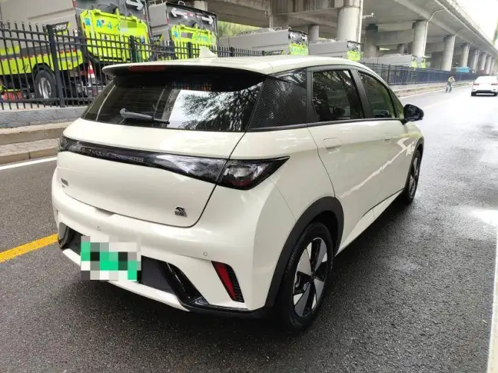 BYD Dolphin 2023 Model Free Edition – фото 6