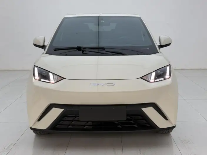 BYD Seagull 2023 Model Vitality Edition – фото 2
