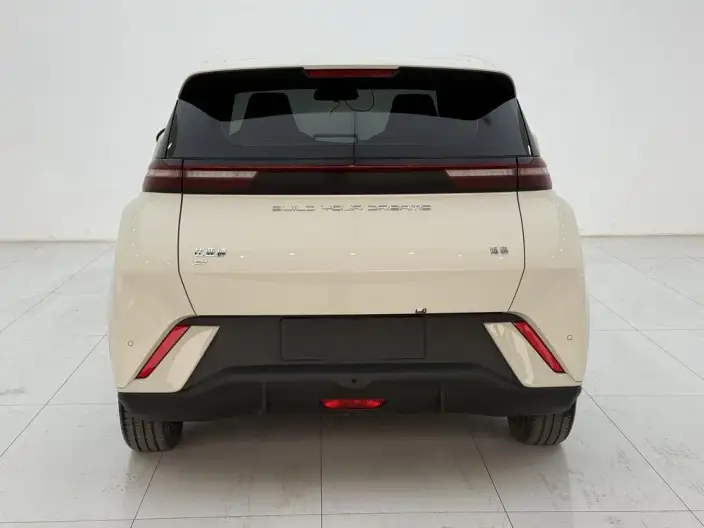 BYD Seagull 2023 Model Vitality Edition – фото 5
