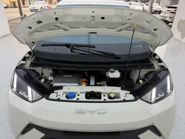 BYD Seagull 2023 Model Vitality Edition – фото 7