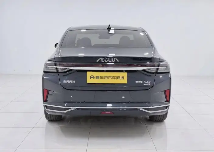 Yixuan Max 2021 Model 1.5T Super Spicy Dad Edition – фото 6